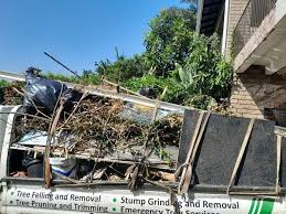 Best Shed Removal  in Homestead Valley, CA